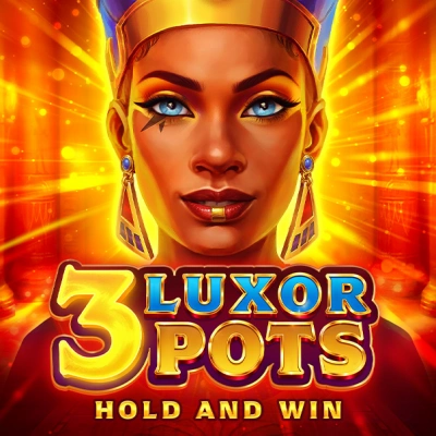 3 Luxor Pots Hold and Collect